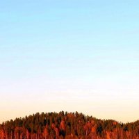 На привязи :: Хватова Марина 