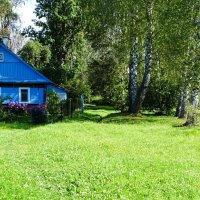 Домик в деревне (репортаж из поездок по области). :: Милешкин Владимир Алексеевич Домик в деревне (репортаж из поездок по области). :: Милешкин Владимир Алексеевич