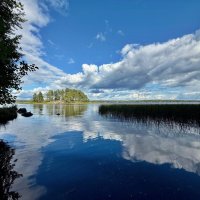 тебе половина и мне половина :: Сергей Б.