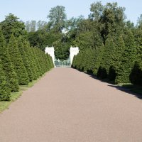 Аллея :: Валерий Пославский