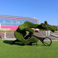 Лето спортивное :: Ольга Лето спортивное :: Ольга