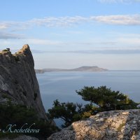 Природа Крыма :: Amazing Cosmea