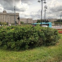 МОСКОВСКИЙ ПРОСПЕКТ :: Виктор Никитенко