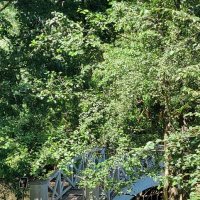 Горбатый мостик :: ИРЭН@ .