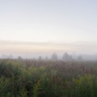 Утро :: Олег Дорошенко