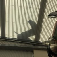 Всего лишь промышленный альпинист моет окна :: Ольга Лебедева (Беловласова)