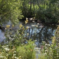 Позднее лето. :: Наталья Лунева 