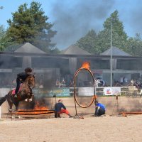 Международная конная выставка "Иппосфера" 2025 :: Николай 