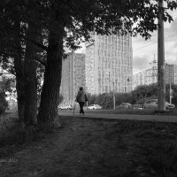 На тротуаре :: Александр Синдерёв