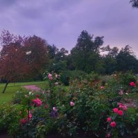 Закат :: Сапсан 