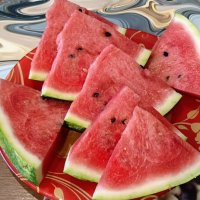 Август Арбуз Лето :: Михаил Столяров