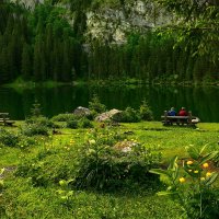 summer :: Elena Wymann