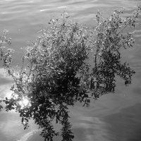 Назва. отсу. :: Денис Безногов