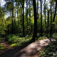 Провожая лето 2025 :: Андрей Лукьянов