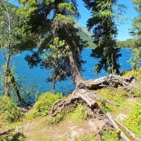 Алтай :: Андрей Л. В.