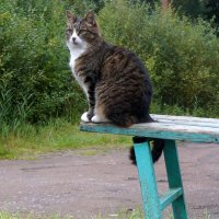 смотритель Солнечного :: zavitok *