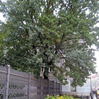 Городской пейзаж. :: Светлана Калмыкова Калмыкова