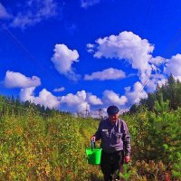 Август...С грибами на Оленьем острове! :: Владимир 