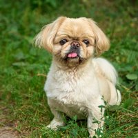 3928 :: Alex . 3928 :: Alex .