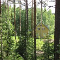 Домик в садоводстве «Сопки» :: Александр Ильчевский 