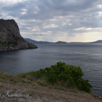 Природа Крыма :: Amazing Cosmea