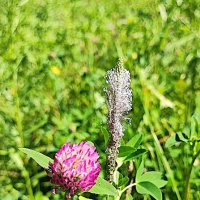 ,,, :: Сергей Тимоновский ,,, :: Сергей Тимоновский