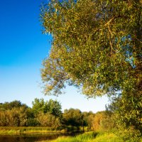 *** :: Игорь Чичиль