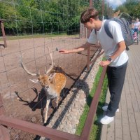 В Минском зоопарке :: Ирэн 