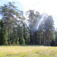 Карелия :: Любовь ***