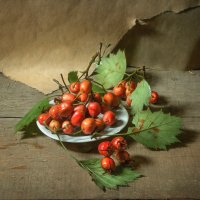 С боярышником... :: Oleg Rastorguev