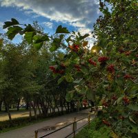 Последний глоток уходящего лета пьянит, как сухое вино :: Дмитрий Костоусов