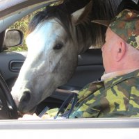 Яблоки я тоже люблю ! :: Валерий 