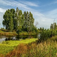 На исходе лета 4 :: Андрей Дворников