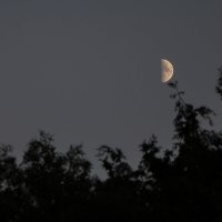 Вечереет... :: Дмитрий А