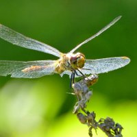 из снятого позапозавчера 2 :: Александр Прокудин