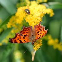 из снятого позапозавчера 3 :: Александр Прокудин