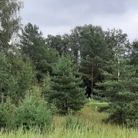 Последний день лета :: Наталья Герасимова