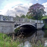 Осень :: Сапсан 