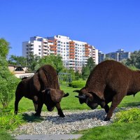 Топиарная жанровая скульптура «Зубры» :: Глeб ПЛATOB Топиарная жанровая скульптура «Зубры» :: Глeб ПЛATOB