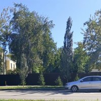 . :: Редкий Гость