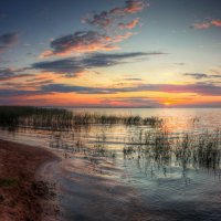 *** :: Сергей Григорьев