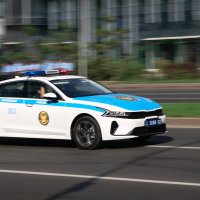 В дозоре! :: Алексей Большаков