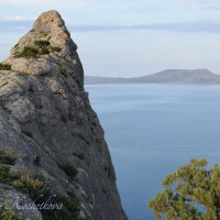 Природа Крыма :: Amazing Cosmea