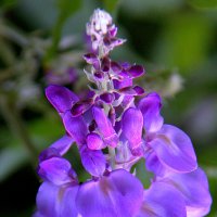 ** :: Vlad Сергиевич