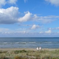 Tallinn, Fotograaf Arkadi Baranov, FEP, Estonia :: Аркадий Баранов Arkadi Baranov Tallinn, Fotograaf Arkadi Baranov, FEP, Estonia :: Аркадий Баранов Arkadi Baranov