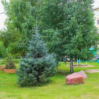 А у нас во дворе.. :: Василий 