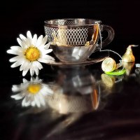 Чашечка  чая :: Валентина Богатко 