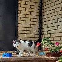 Поел и пошёл по делам! :: Нина Андронова