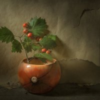 *** :: Oleg Rastorguev