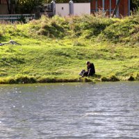 На берегу пруда :: Мишель71 